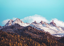 雅典奥运会男篮集锦:姚明39分13篮板,中国力克新西兰