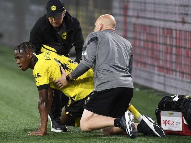 1662380238227088128.jpg 多特.jpg